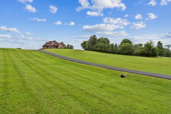 a view of a field of grass and a tree