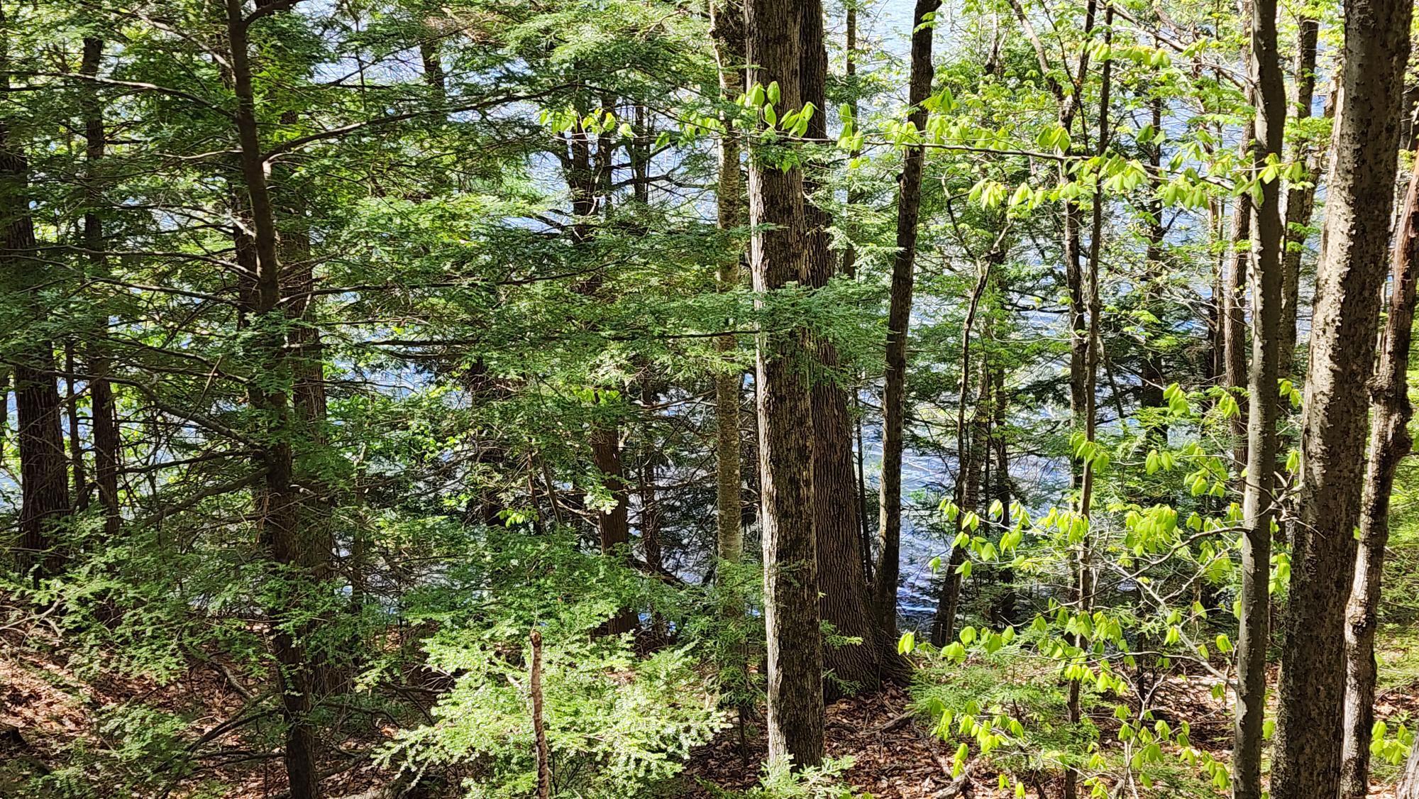 934 North River Road Greene, ME 04236 - Photo 62 of 72 20230509_150029