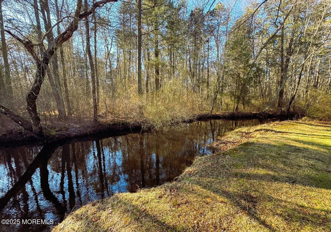 2 Corey Lane, Unit C Jackson, NJ 08527 - Photo 31 of 32 a view of swimming pool with wooden floor