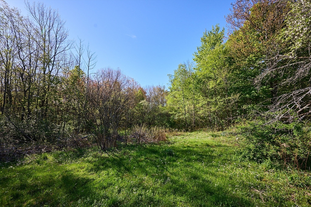 0 Radiker Road Worthington, MA 01098 - Photo 15 of 18 a view of outdoor space and trees