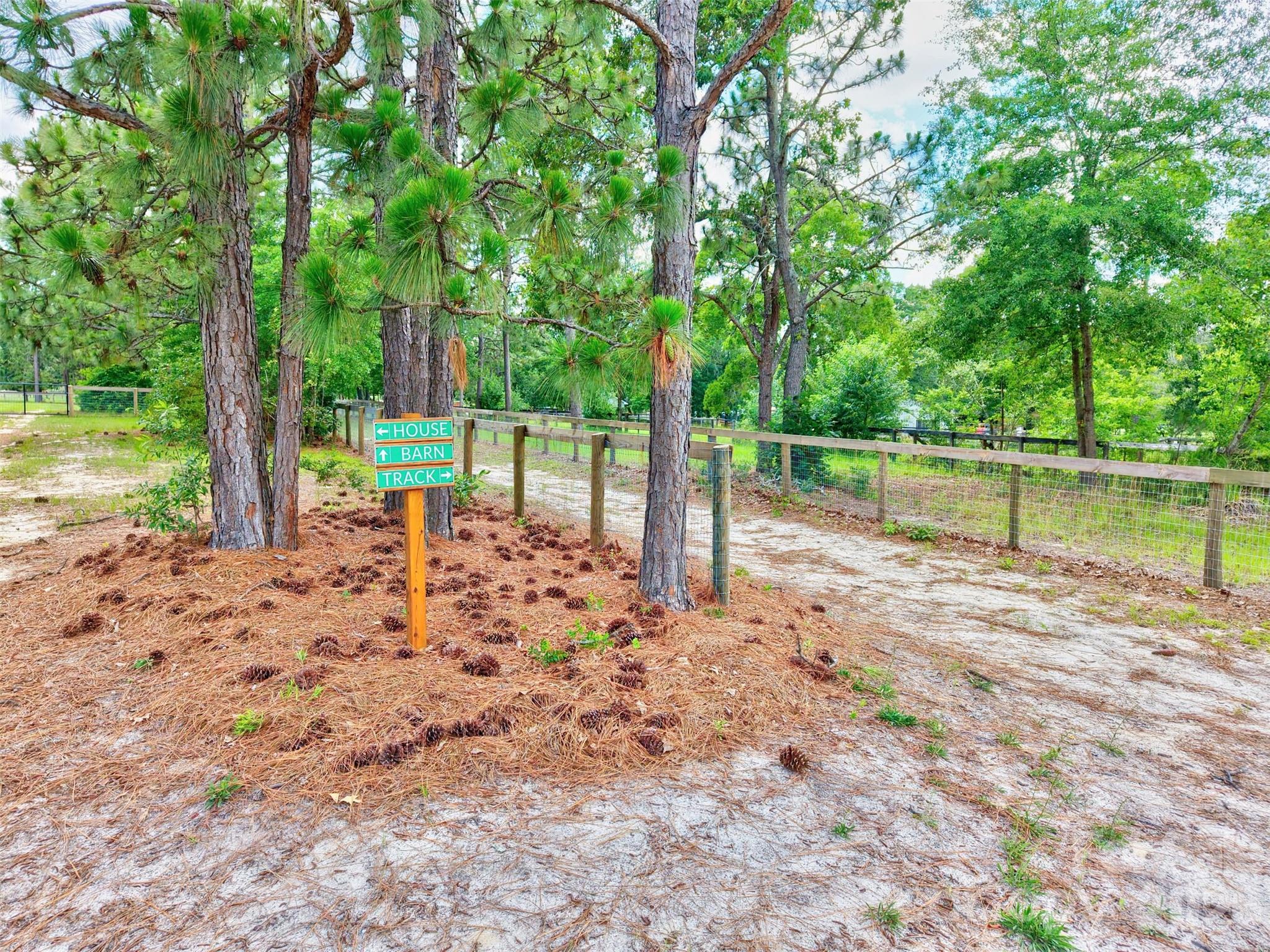 1377 Pine Road Camden, SC 29020 - Photo 9 of 48 Gallery Image 9