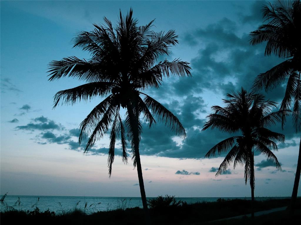 141 North Casey Key Road Nokomis, FL 34275 - Photo 11 of 45 a view of a yard