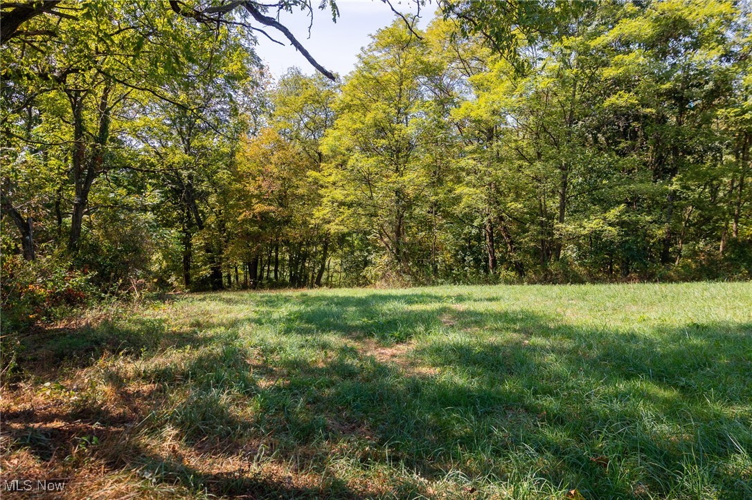 192 Township Road Cadiz, OH 43907 - Photo 5 of 31 View of yard