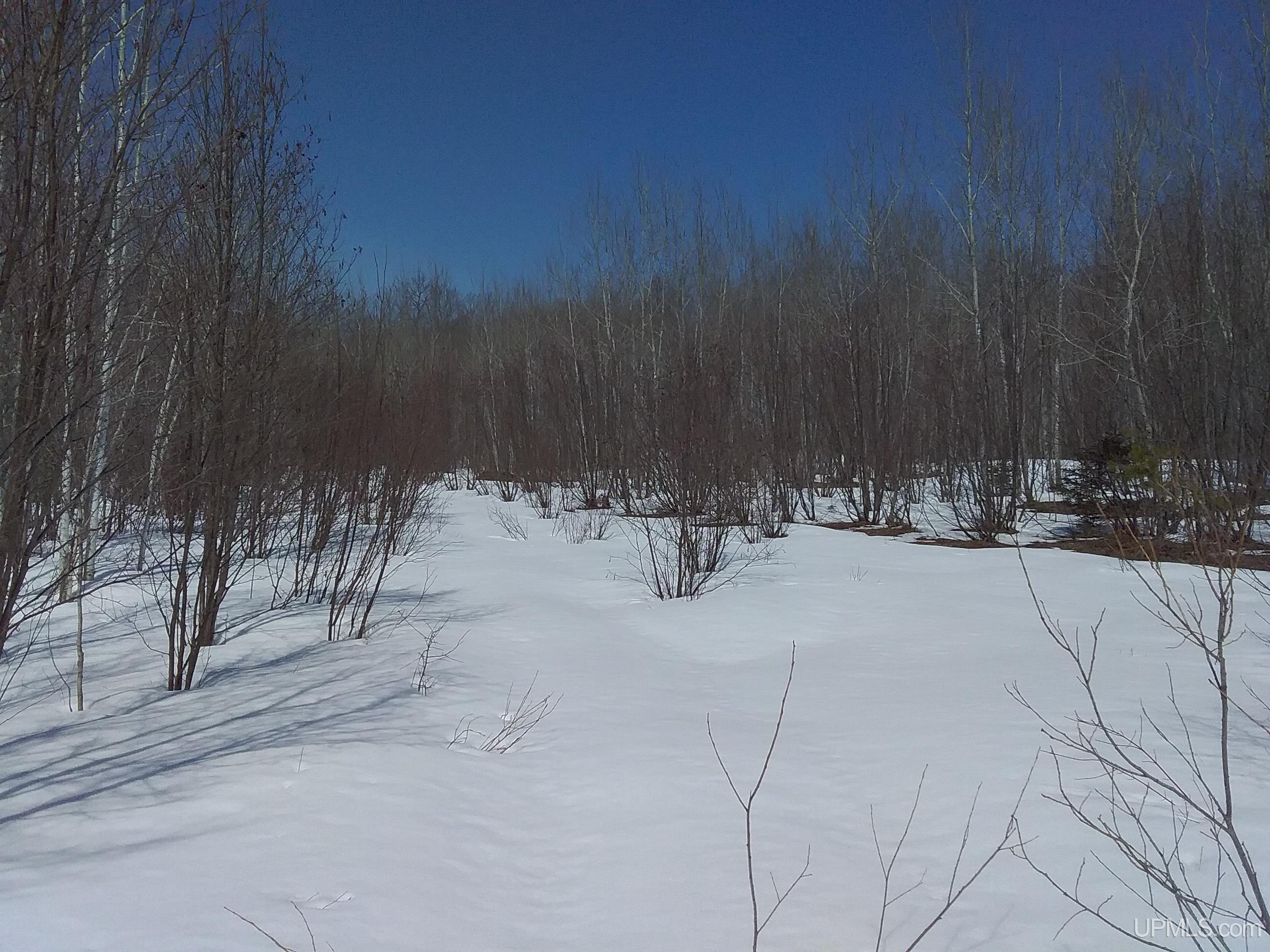 V25 Rd Trenary Mi 49891 Road Rapid River, MI 49878 - Photo 8 of 28