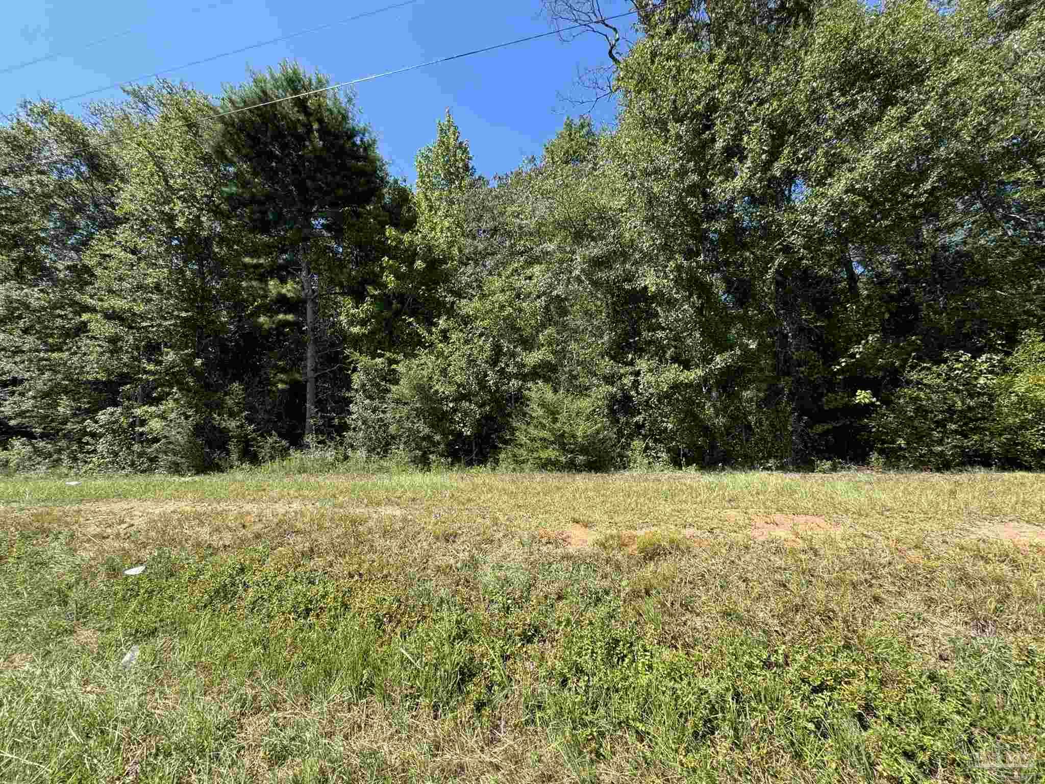 0 Dixonville Road Jay, FL 32565 - Photo 13 of 24 Gallery Image 13
