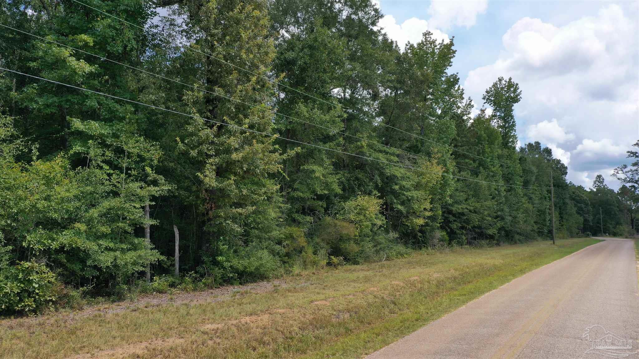 0 Dixonville Road Jay, FL 32565 - Photo 15 of 24 Gallery Image 15