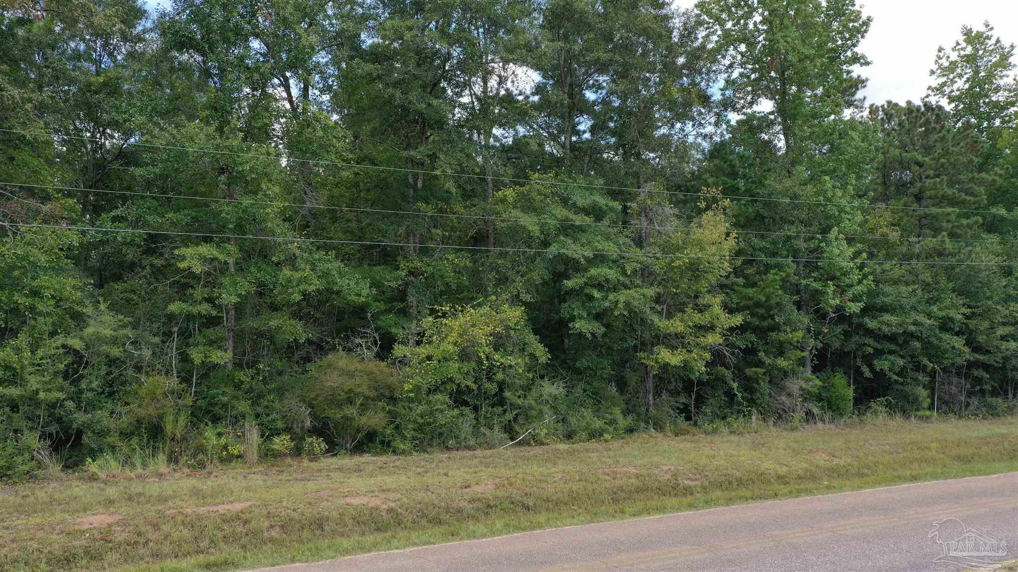 0 Dixonville Road Jay, FL 32565 - Photo 16 of 24 Gallery Image 16