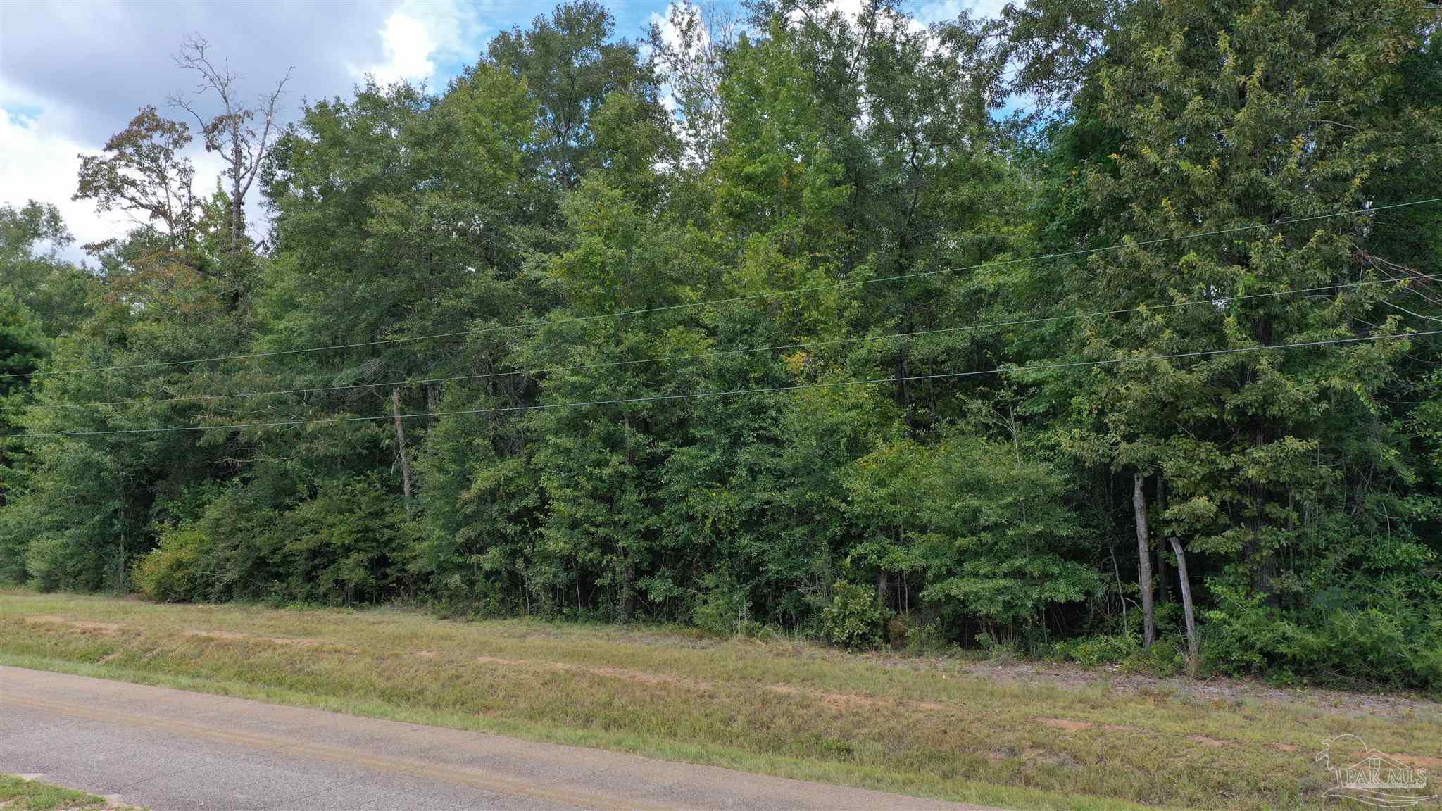 0 Dixonville Road Jay, FL 32565 - Photo 17 of 24 Gallery Image 17