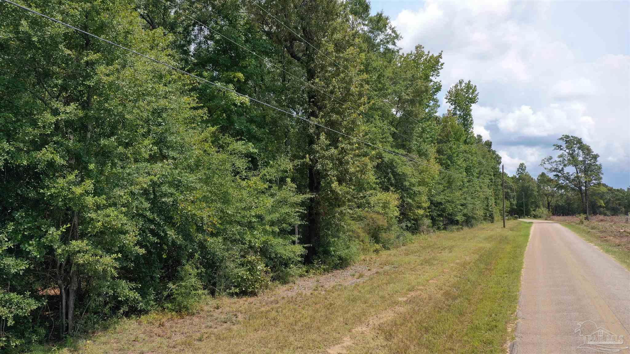 0 Dixonville Road Jay, FL 32565 - Photo 18 of 24 Gallery Image 18
