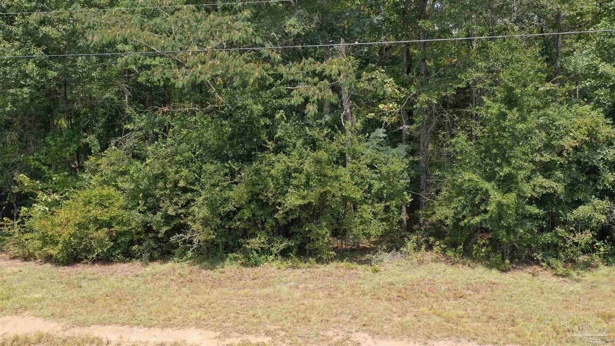 0 Dixonville Road Jay, FL 32565 - Photo 19 of 24 Gallery Image 19