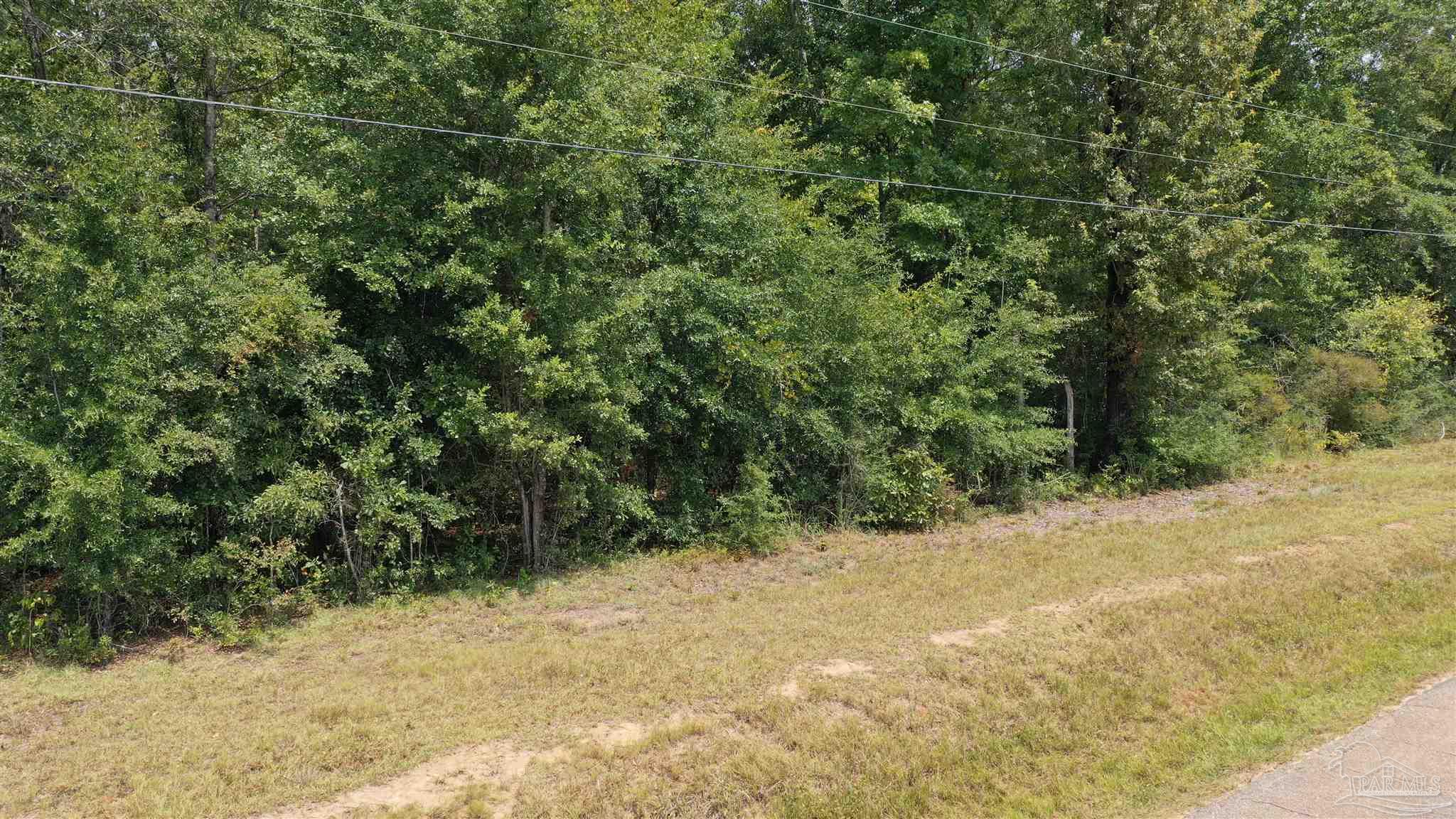 0 Dixonville Road Jay, FL 32565 - Photo 21 of 24 Gallery Image 21
