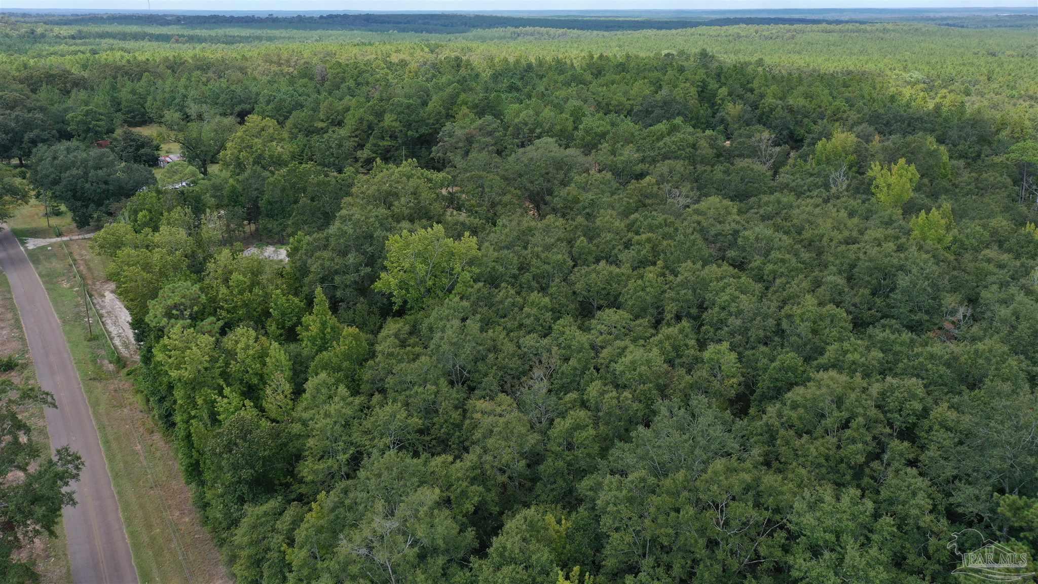 0 Dixonville Road Jay, FL 32565 - Photo 4 of 24 Gallery Image 4