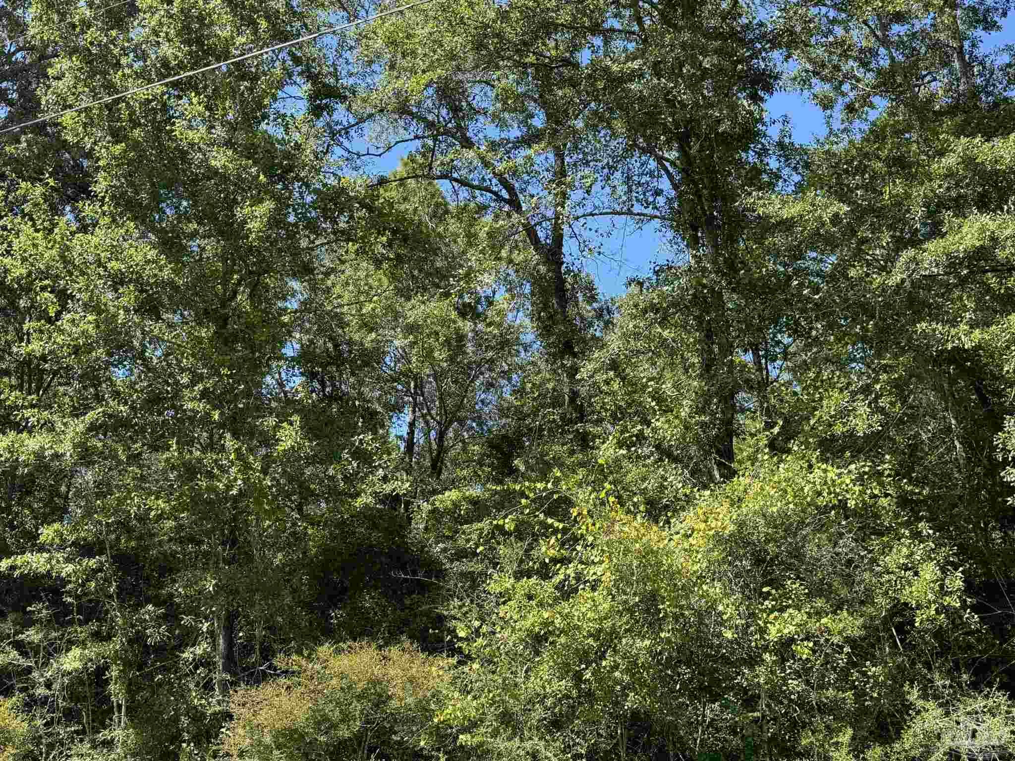 0 Dixonville Road Jay, FL 32565 - Photo 7 of 24 Gallery Image 7