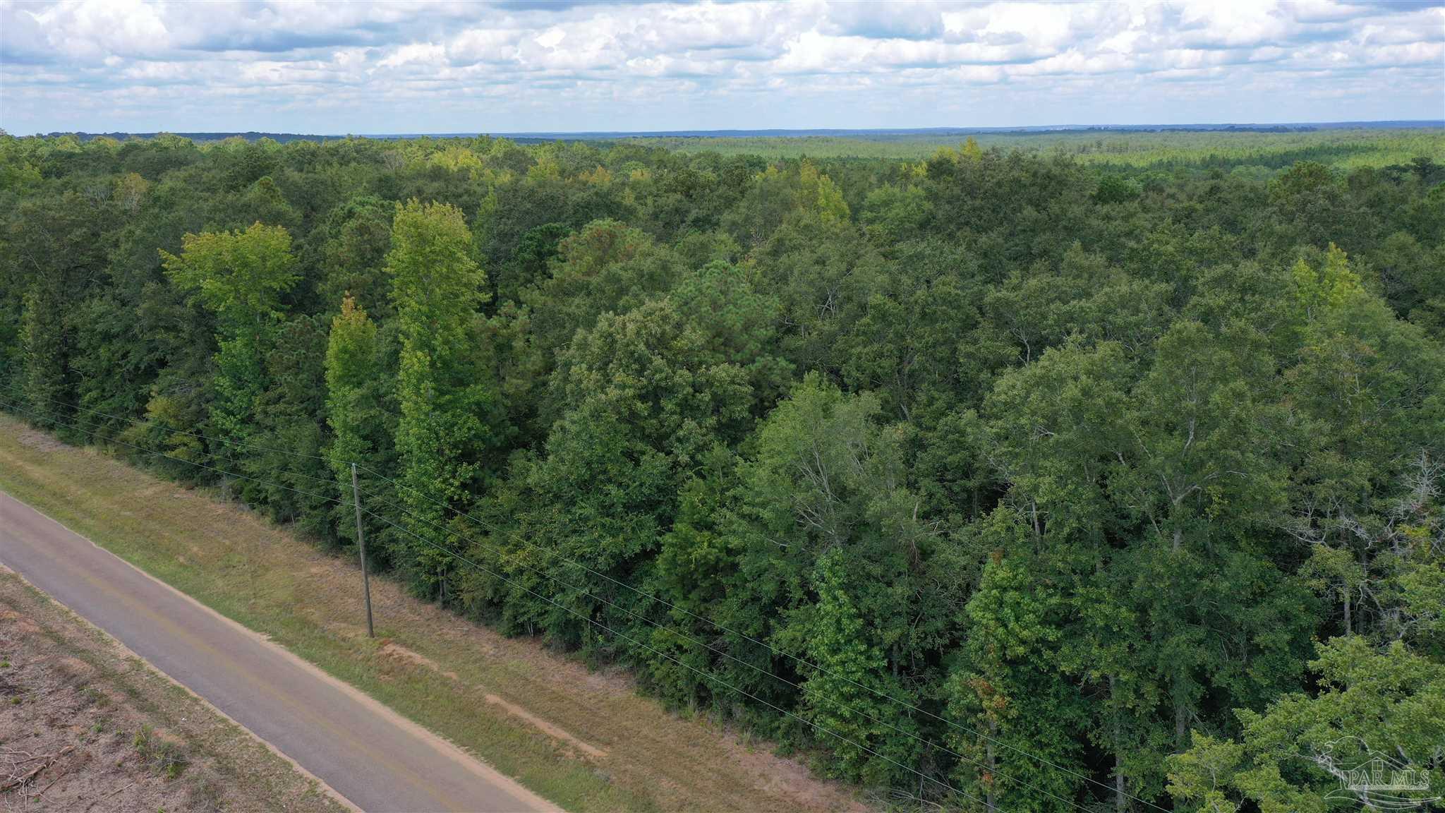 0 Dixonville Road Jay, FL 32565 - Photo 10 of 24 Gallery Image 10