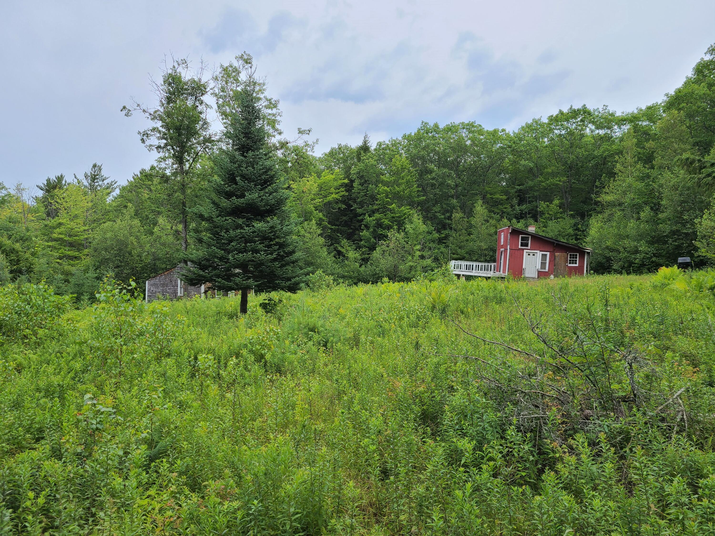 0 Farrand Hill Road Canton, ME 04221 - Photo 5 of 43 FarrandHillRd23
