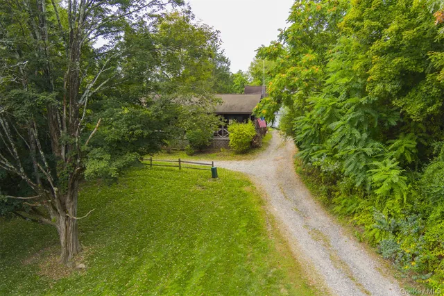 a view of a yard with plants and a trees