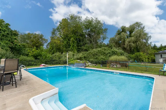 a view of a swimming pool with a lawn chairs and plants