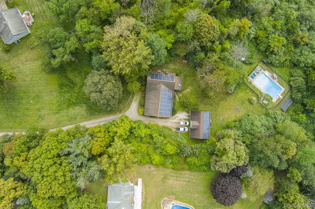 a view of a garden with plants