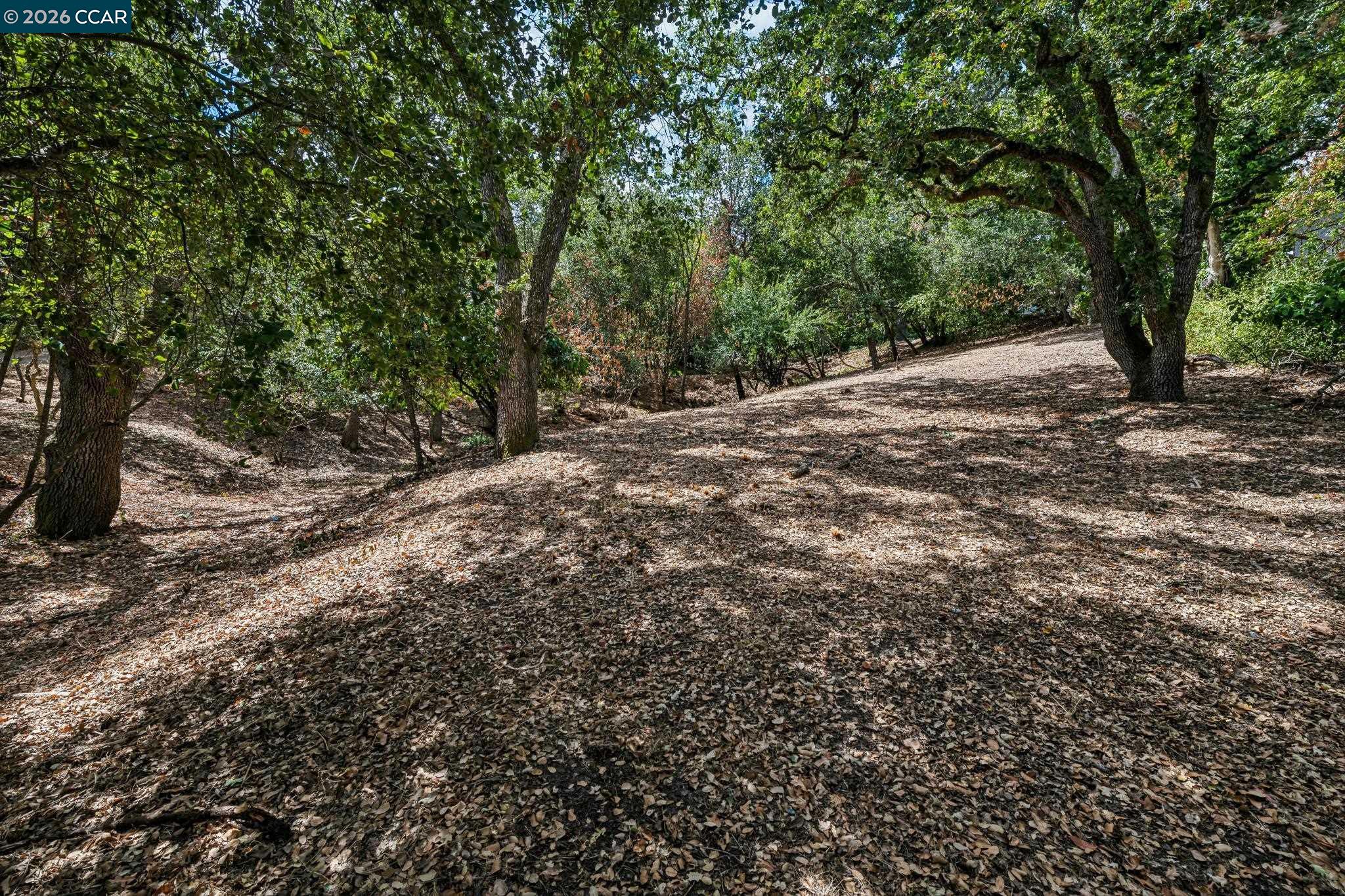 Ridge Road Lafayette, CA 94549 - Photo 5 of 30 Gallery Image 5