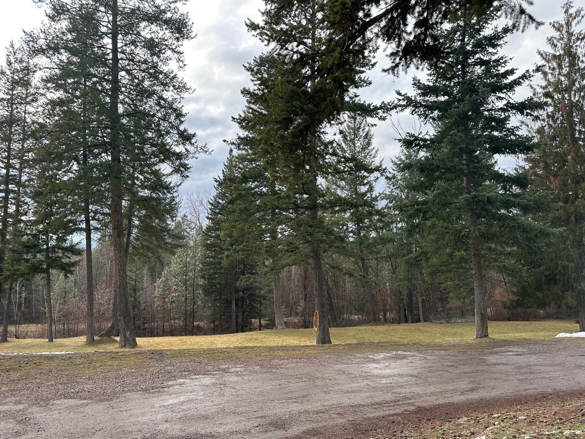 41510 Canal Road Ronan, MT 59864 - Photo 34 of 79 Gallery Image 34