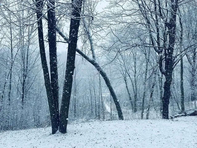 $330,000 | 2473 27 1/2 Street, Rice Lake, WI 54868