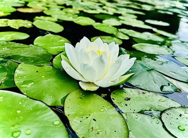 $330,000 | 2473 27 1/2 Street, Rice Lake, WI 54868