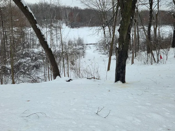 $309,000 | 2473 27 1/2 Street, Rice Lake, WI 54868