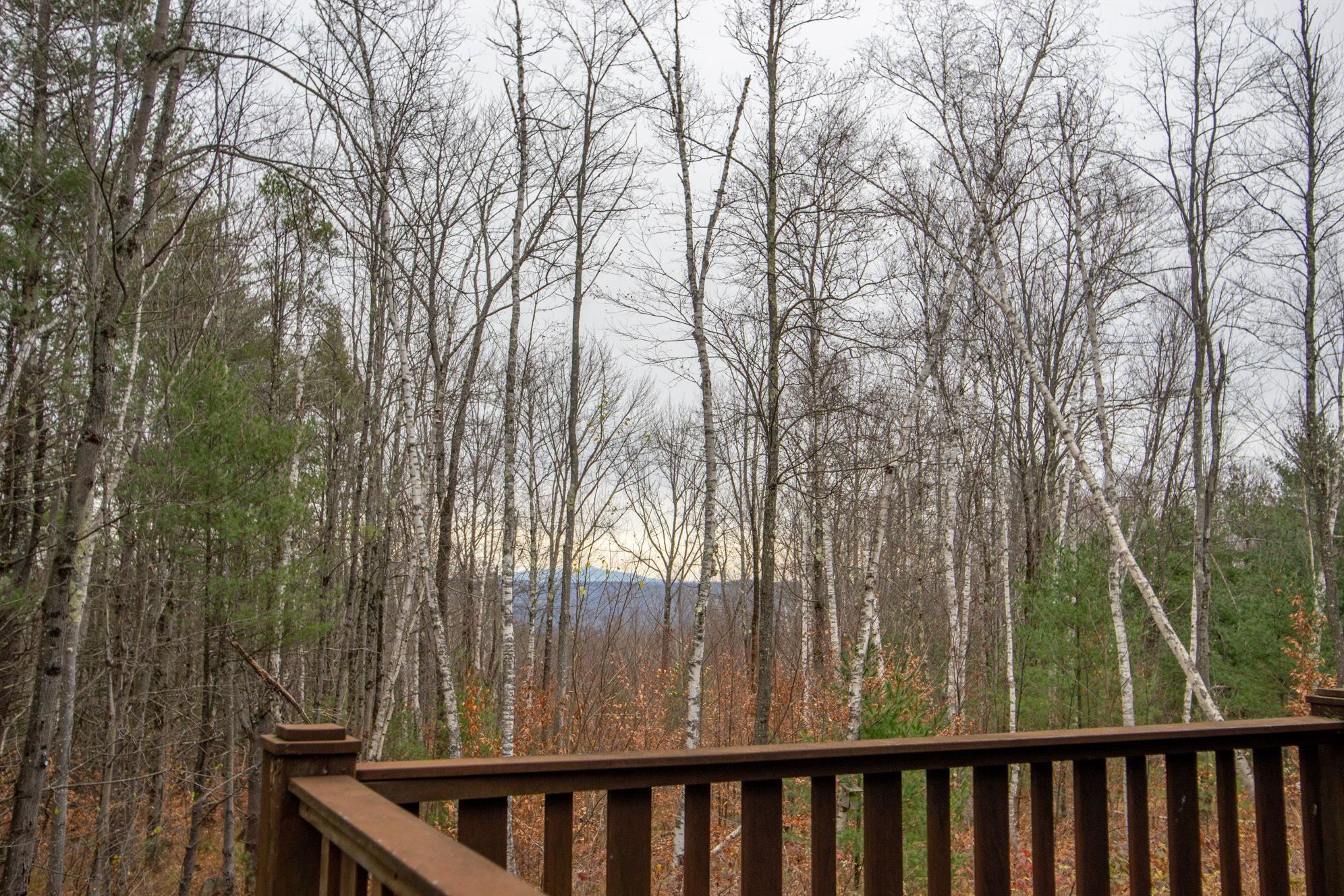 9 Allyn Road Putney, VT 05346 - Photo 20 of 29