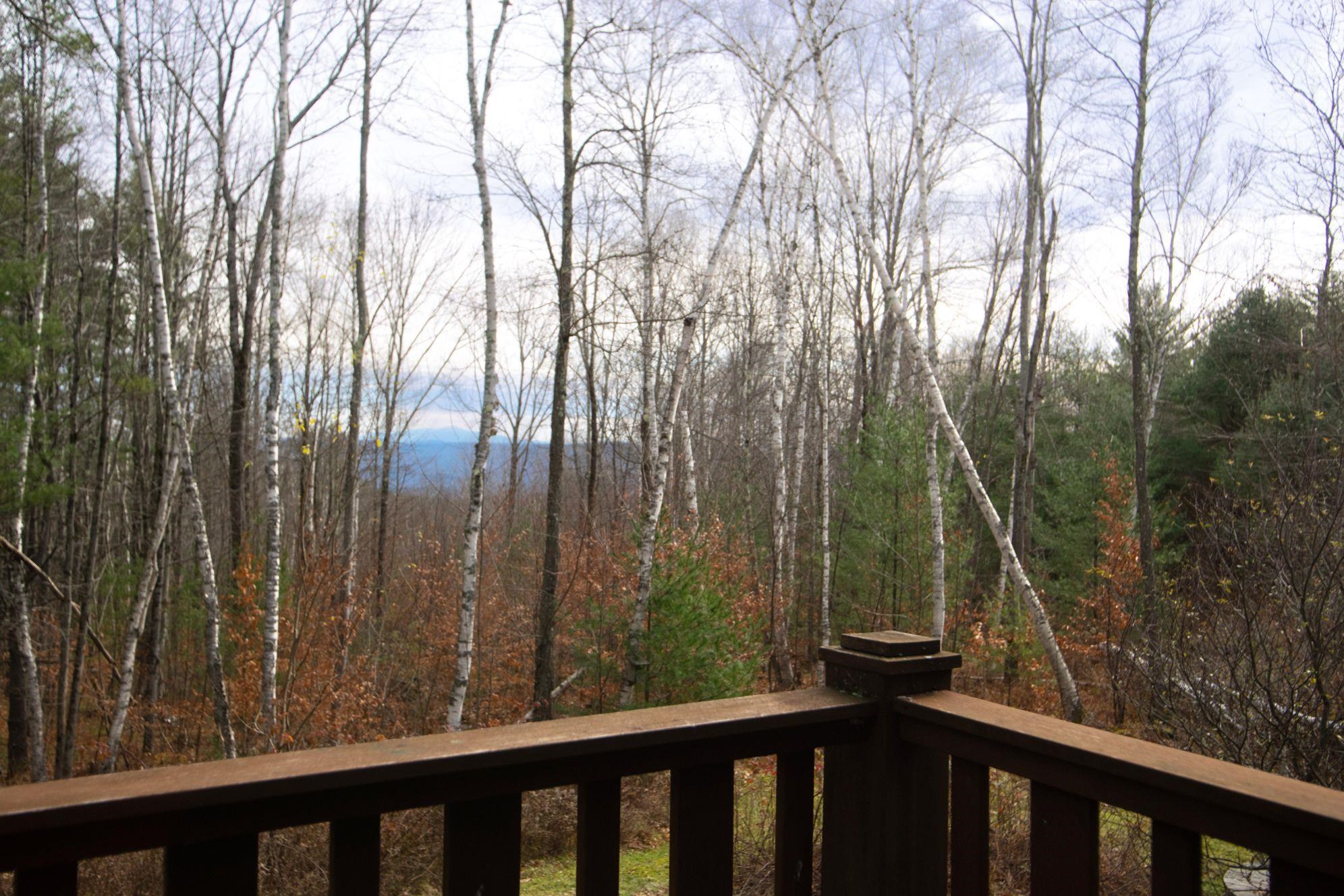 9 Allyn Road Putney, VT 05346 - Photo 21 of 29
