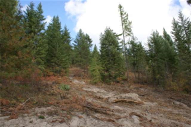 16-xx Bohanan Road Colville, WA 99114 - Photo 1 of 3