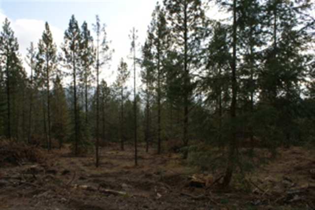16-xx Bohanan Road Colville, WA 99114 - Photo 2 of 3