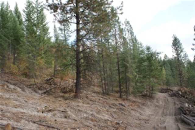16-xx Bohanan Road Colville, WA 99114 - Photo 3 of 3