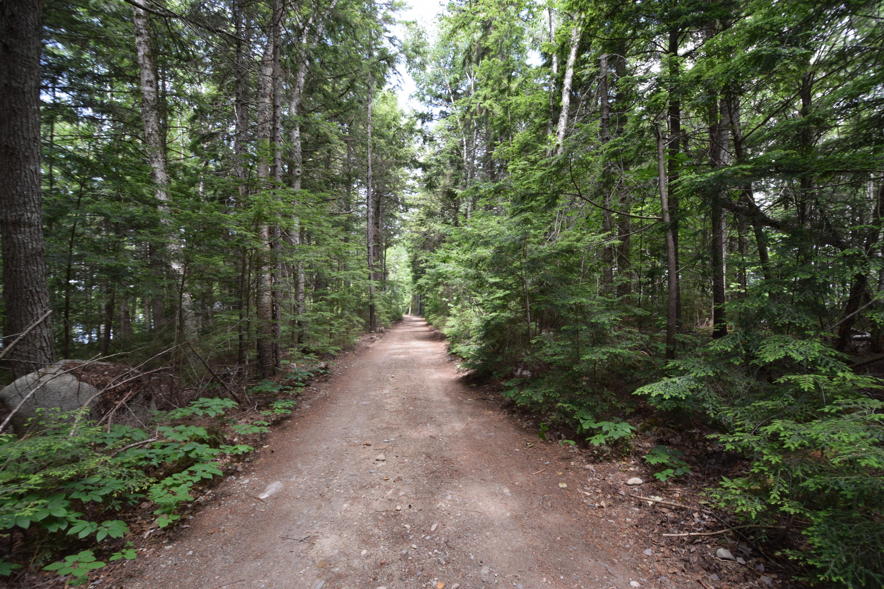 0 Chadwick Pt Road Weston, ME 04424 - Photo 13 of 20 Chadwick Point Road...