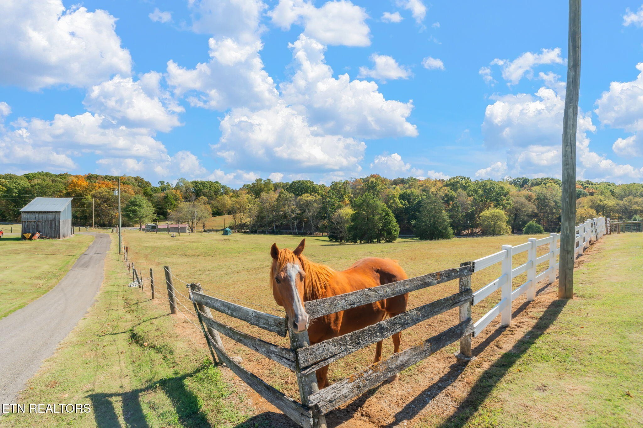 16415 Sunnyside Road Philadelphia, TN 37846 - Photo 33 of 60 Gallery Image 33
