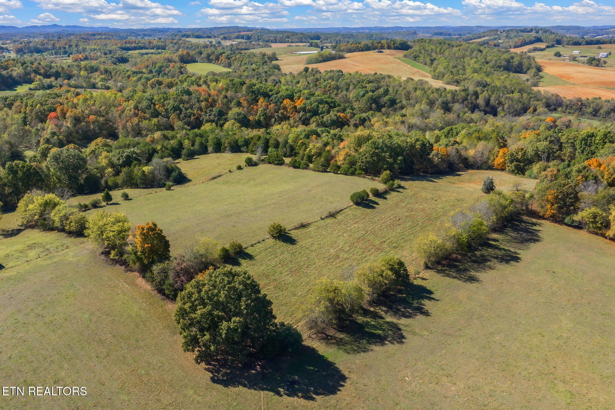 16415 Sunnyside Road Philadelphia, TN 37846 - Photo 48 of 60 Gallery Image 48