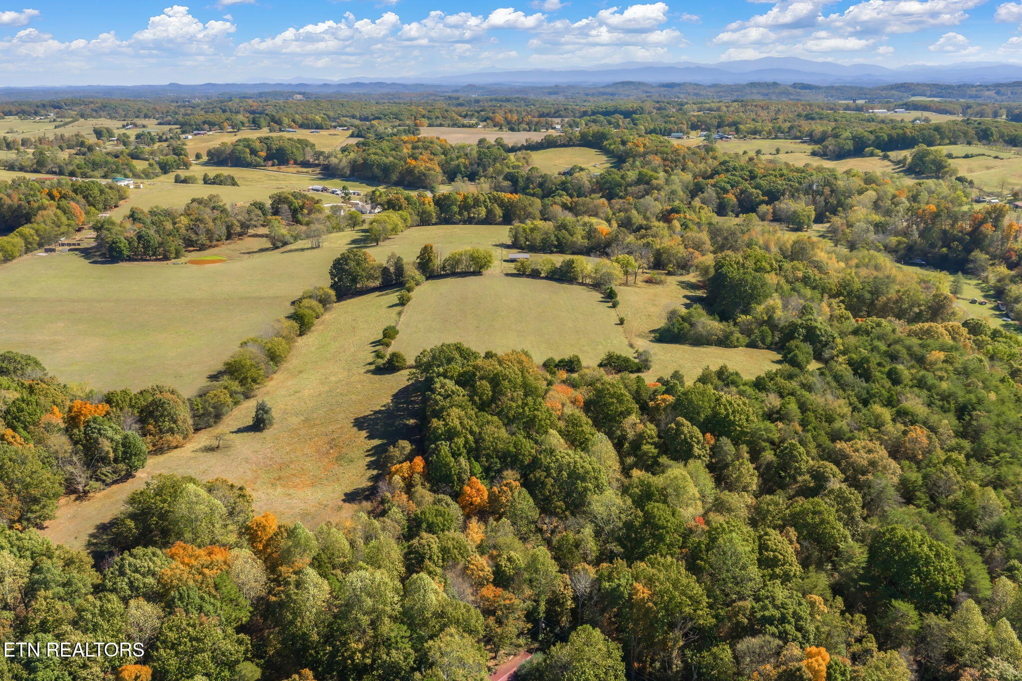 16415 Sunnyside Road Philadelphia, TN 37846 - Photo 49 of 60 Gallery Image 49