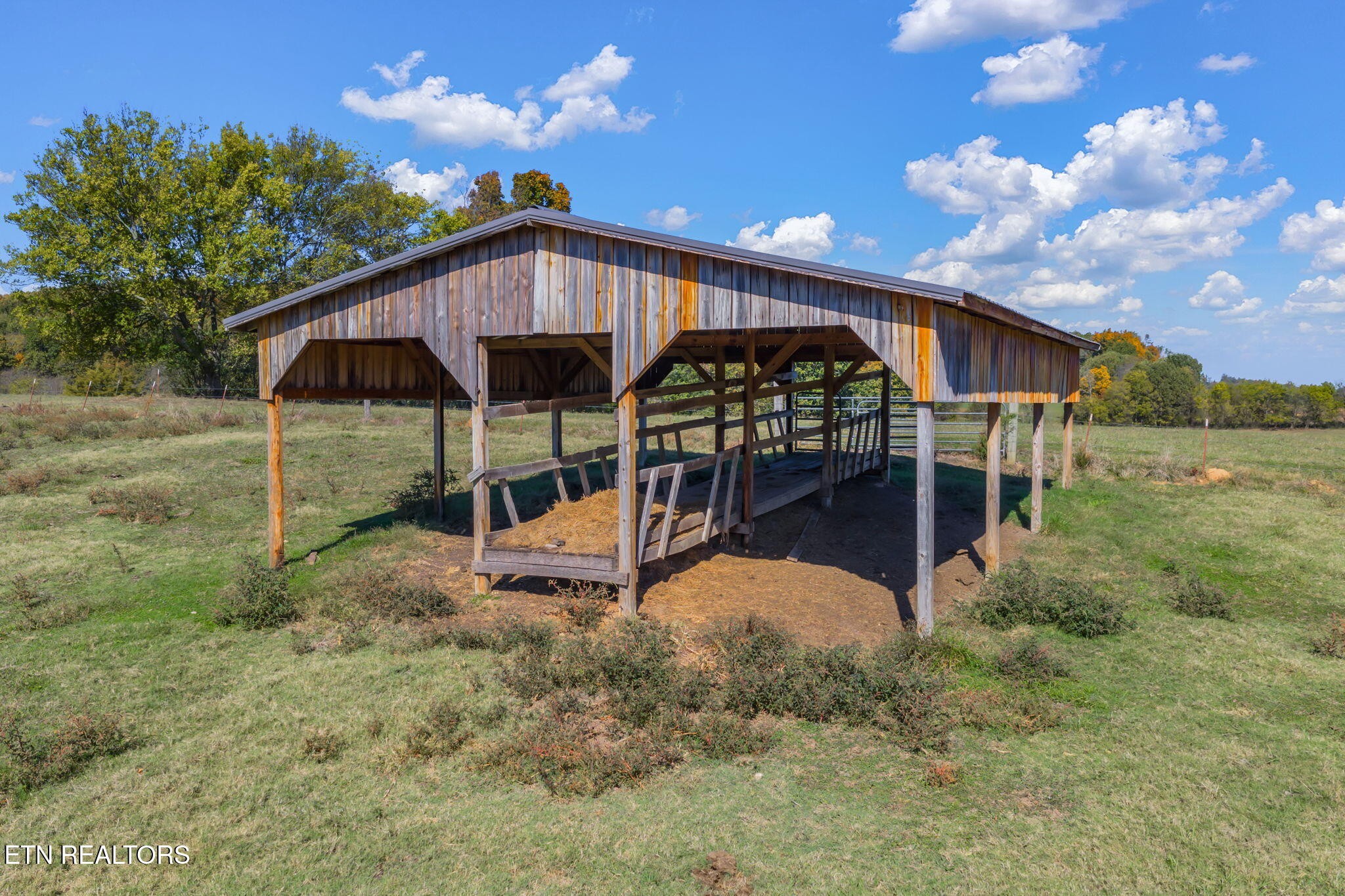 16415 Sunnyside Road Philadelphia, TN 37846 - Photo 54 of 60 Gallery Image 54
