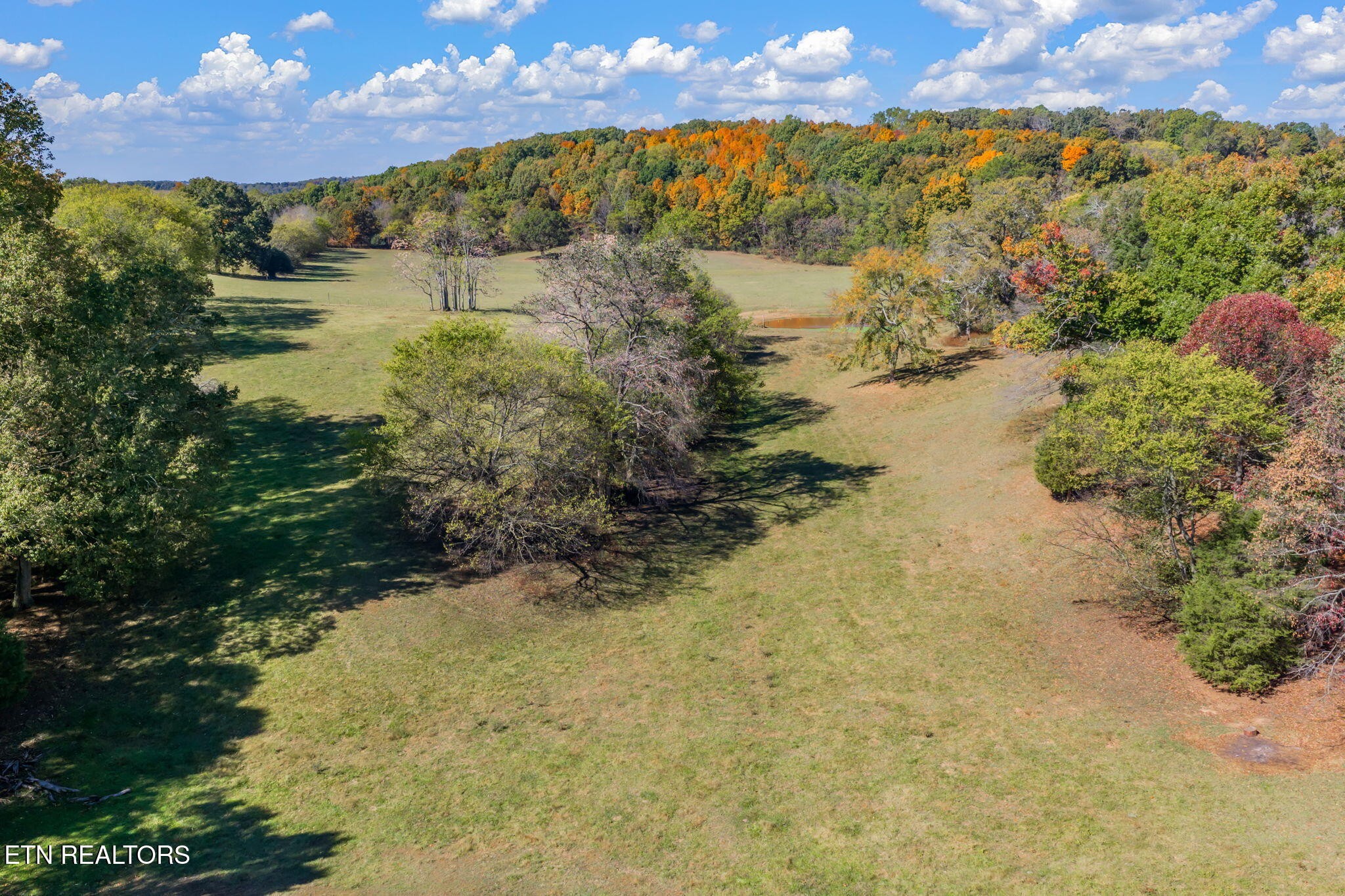 16415 Sunnyside Road Philadelphia, TN 37846 - Photo 56 of 60 Gallery Image 56