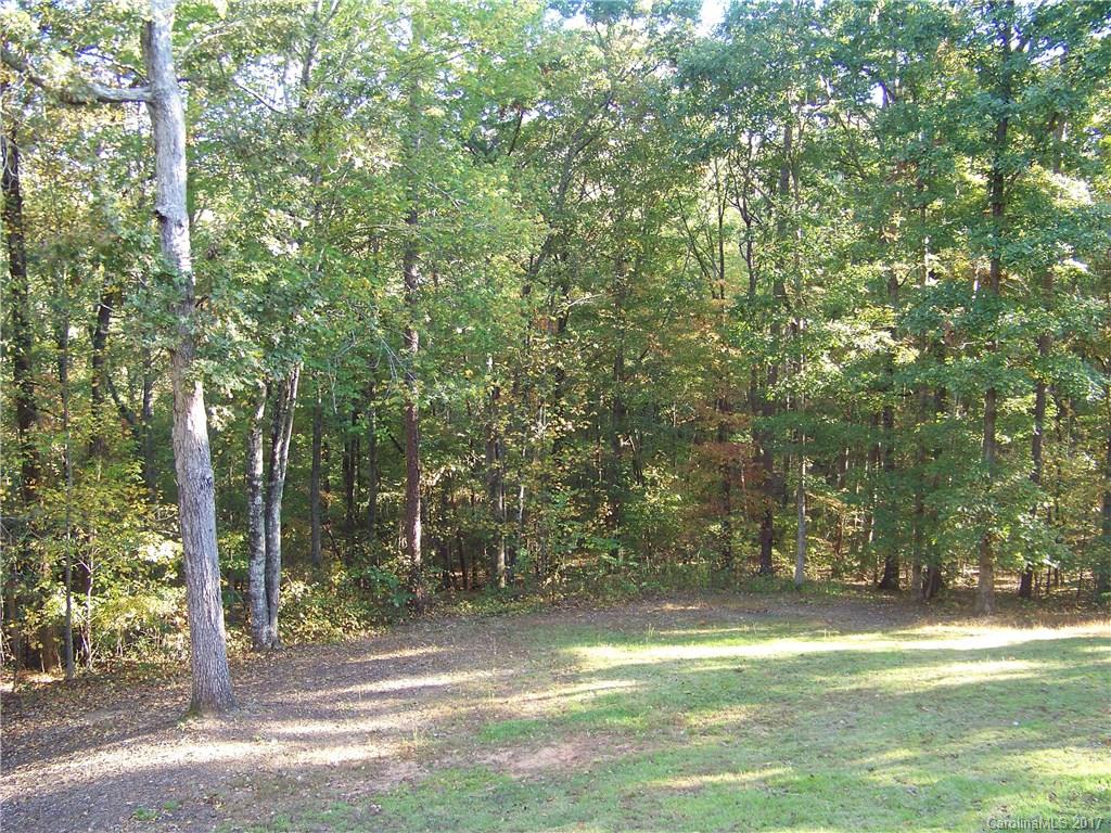 447 Travelers Rest Lane Rutherfordton, NC 28139 - Photo 17 of 17 Gallery Image 17