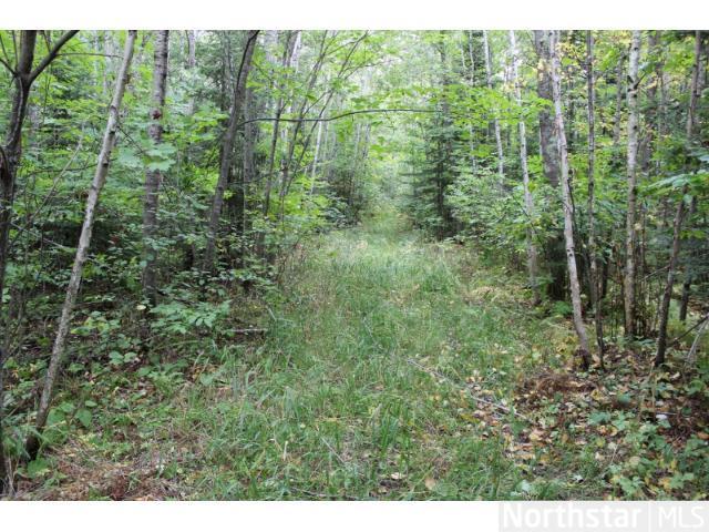 Xx Park Hills Road Bruno, MN 55712 - Photo 1 of 1 Gallery Image 1