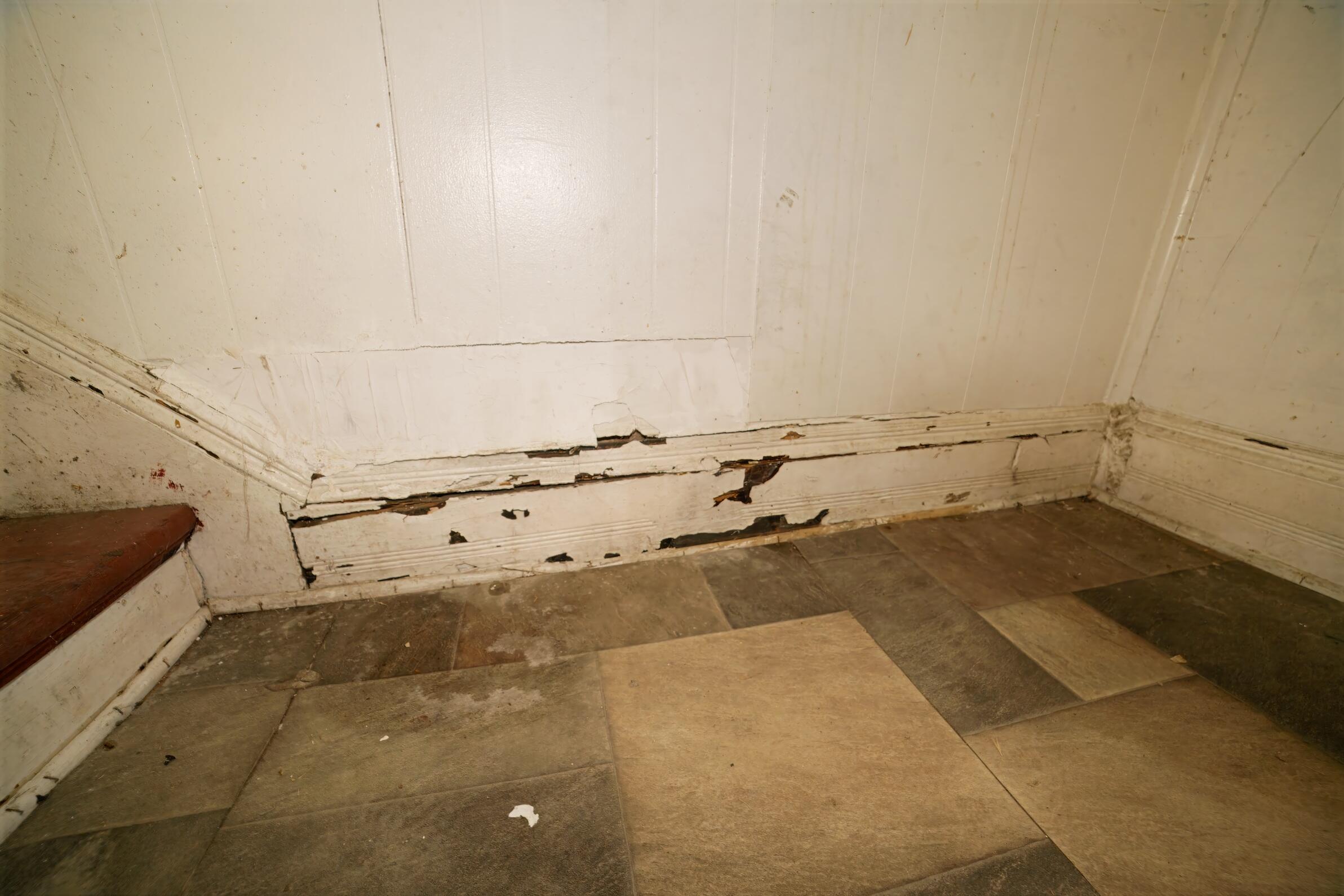 332 East Prospect Street Covington, VA 24426 - Photo 28 of 54 _DSC4533