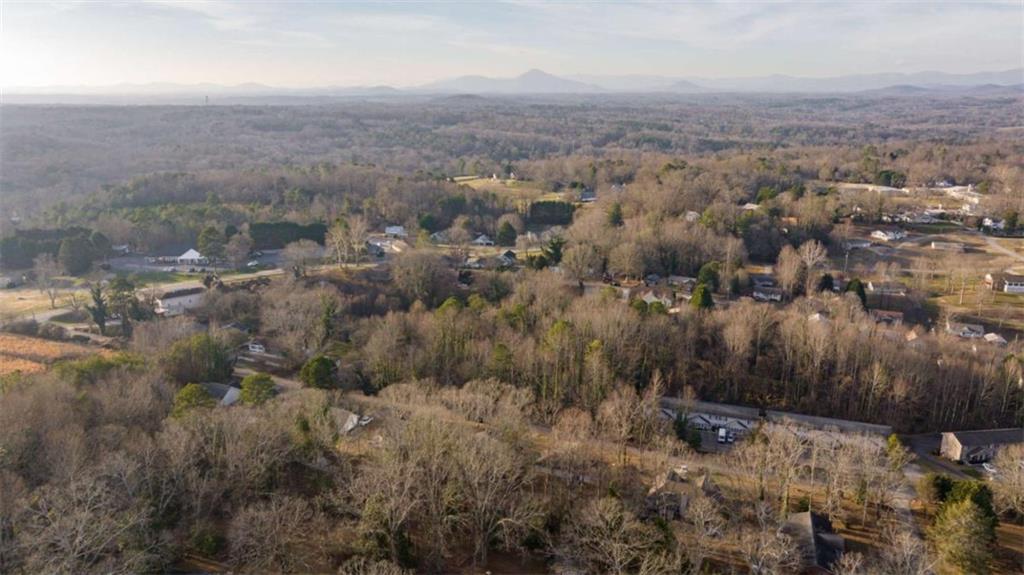 226 Chestnut Avenue Demorest, GA 30535 - Photo 44 of 47 an aerial view of house with yard and mountain in the back