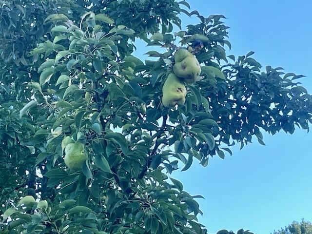 210 South Jackson Road Ludington, MI 49431 - Photo 25 of 40 Outdoors