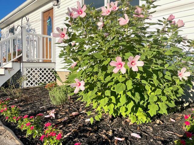 210 South Jackson Road Ludington, MI 49431 - Photo 27 of 40 Outdoors