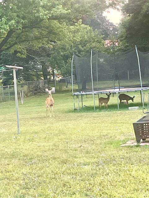 210 South Jackson Road Ludington, MI 49431 - Photo 29 of 40 Wildlife