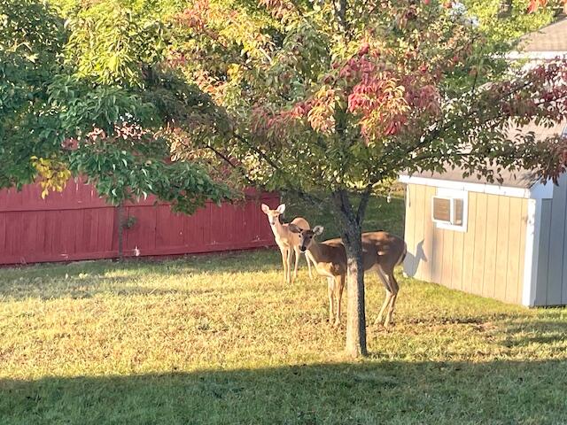 210 South Jackson Road Ludington, MI 49431 - Photo 30 of 40 Wildlife