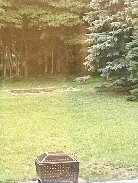 210 South Jackson Road Ludington, MI 49431 - Photo 31 of 40 Wildlife