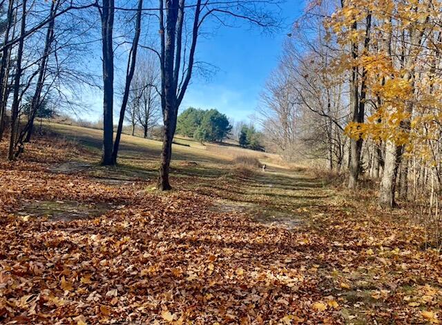 210 South Jackson Road Ludington, MI 49431 - Photo 40 of 40 Outdoor Life