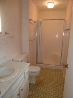 1972 Angle Plantation Road Rocky Mount, VA 24151 - Photo 13 of 33 Master Bathroom