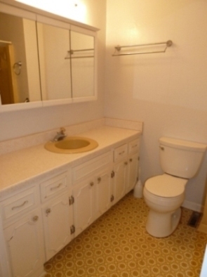1972 Angle Plantation Road Rocky Mount, VA 24151 - Photo 15 of 33 Bathroom